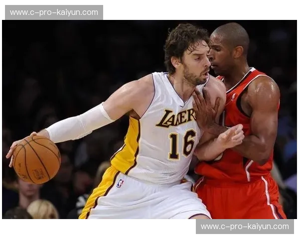 湖人vs山猫录像：当紫金王朝遇上飞翔的黑豹，一场宿命的对决